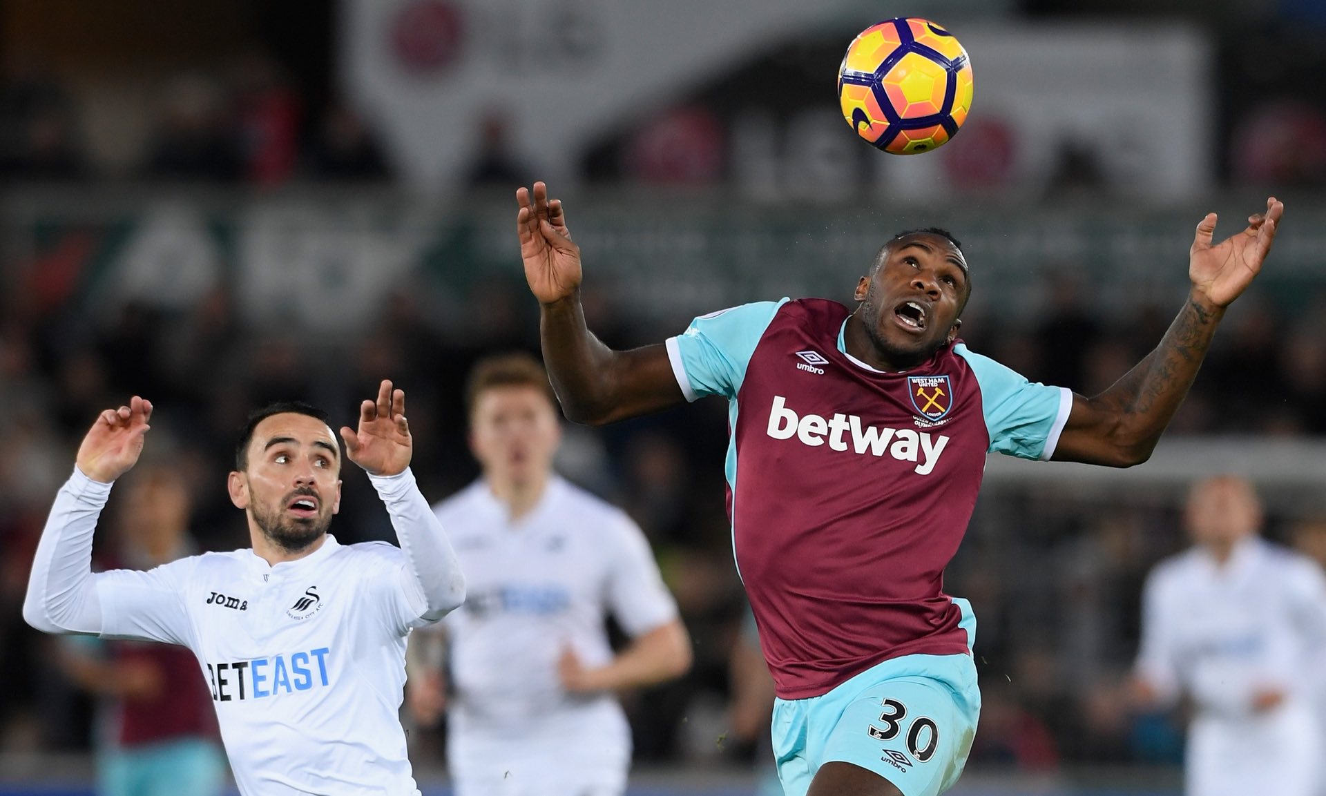 巴萨的开放 巴萨的开放