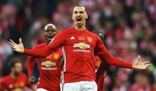 球爱好者的 球爱好者的